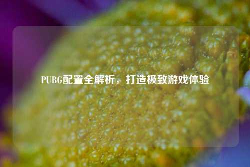 PUBG配置全解析，打造极致游戏体验