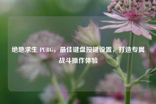 绝地求生 PUBG,最佳键盘按键设置,打造专属战斗操作体验