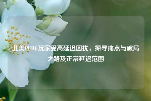 北美PUBG玩家受高延迟困扰,探寻痛点与破局之路及正常延迟范围