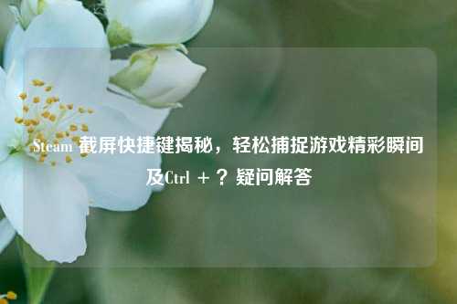 Steam 截屏快捷键揭秘,轻松捕捉游戏精彩瞬间及Ctrl + ?疑问解答