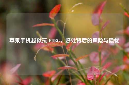 苹果手机越狱玩 PUBG,好处背后的风险与隐忧