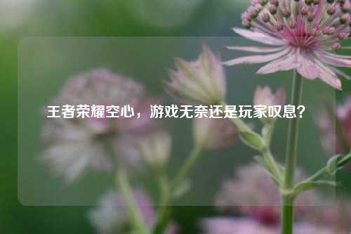王者荣耀空心,游戏无奈还是玩家叹息?