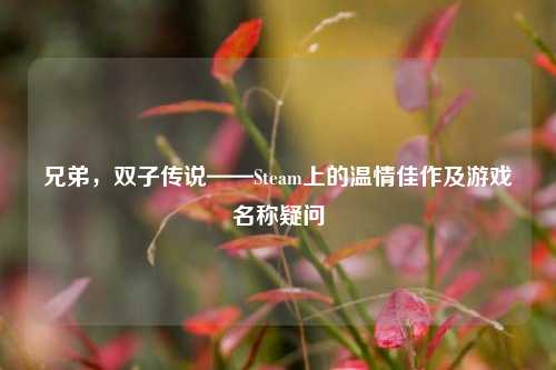 兄弟，双子传说——Steam上的温情佳作及游戏名称疑问