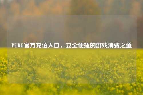 PUBG官方充值入口,安全便捷的游戏消费之道