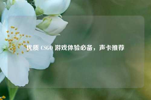 优质 CSGO 游戏体验必备，声卡推荐