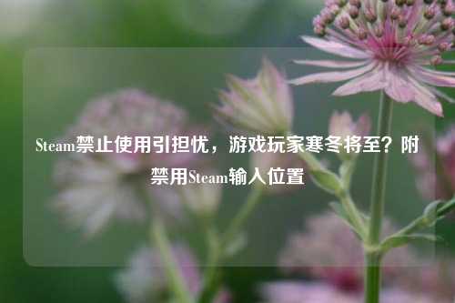 Steam禁止使用引担忧,游戏玩家寒冬将至?附禁用Steam输入位置
