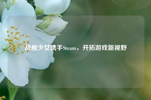 战舰少女携手Steam，开拓游戏新视野