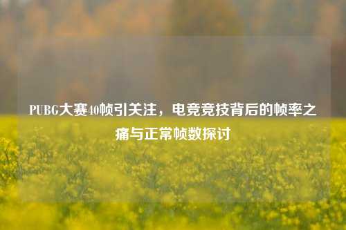 PUBG大赛40帧引关注,电竞竞技背后的帧率之痛与正常帧数探讨