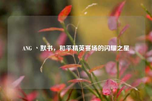 ANG 丶默书，和平精英赛场的闪耀之星