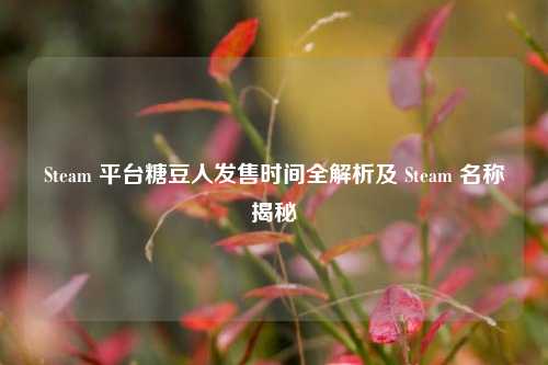 Steam 平台糖豆人发售时间全解析及 Steam 名称揭秘