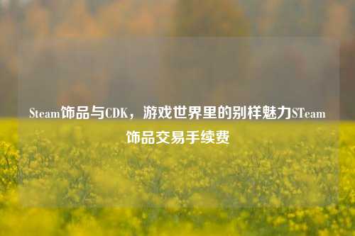 Steam饰品与CDK,游戏世界里的别样魅力STeam饰品交易手续费