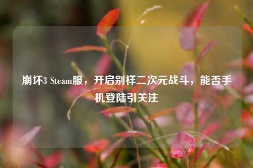 崩坏3 Steam服,开启别样二次元战斗,能否手机登陆引关注