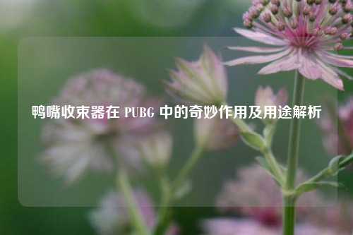 鸭嘴收束器在 PUBG 中的奇妙作用及用途解析