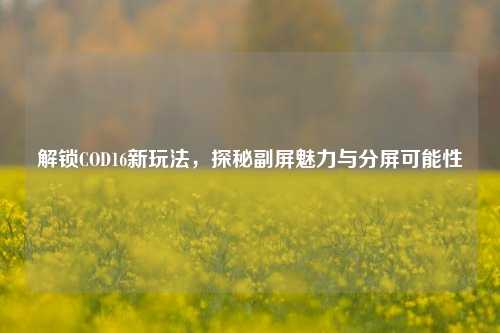 解锁COD16新玩法,探秘副屏魅力与分屏可能性