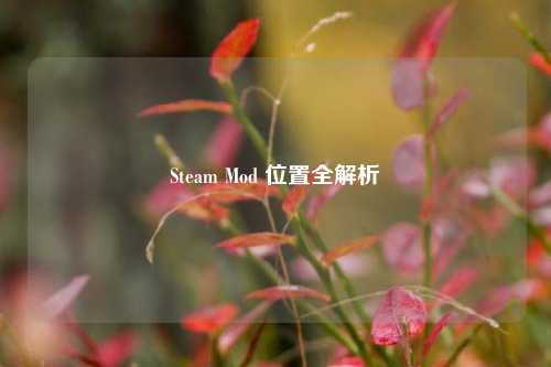 Steam Mod 位置全解析
