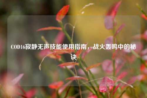 COD16寂静无声技能使用指南,战火轰鸣中的秘诀