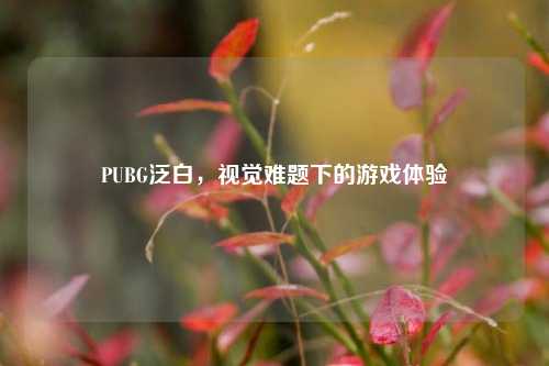 PUBG泛白，视觉难题下的游戏体验