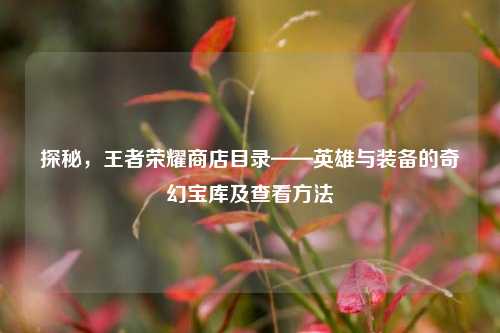 探秘,王者荣耀商店目录——英雄与装备的奇幻宝库及查看方法