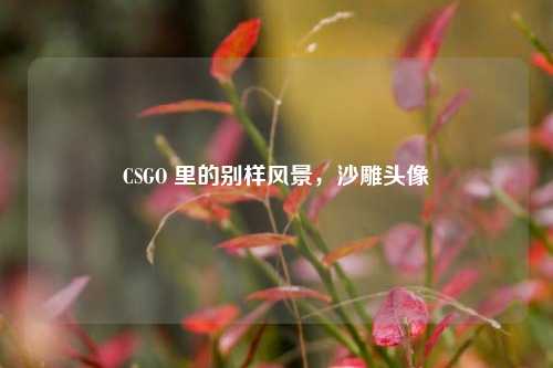 CSGO 里的别样风景，沙雕头像