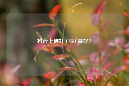 抖音上谁打 CSGO 最好？