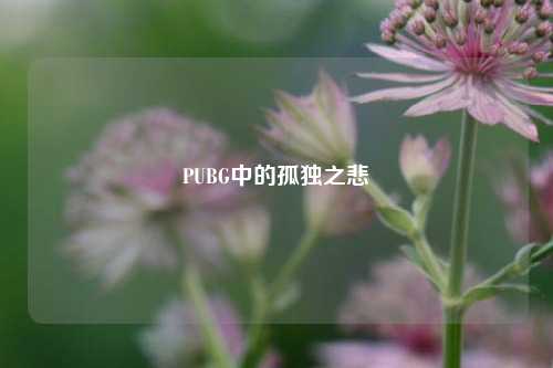 PUBG中的孤独之悲