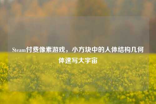 Steam付费像素游戏,小方块中的人体结构几何体速写大宇宙