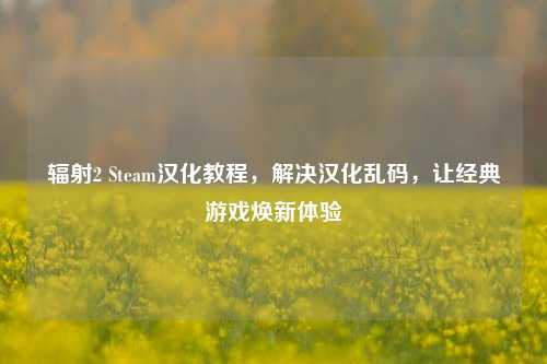 辐射2 Steam汉化教程,解决汉化乱码,让经典游戏焕新体验