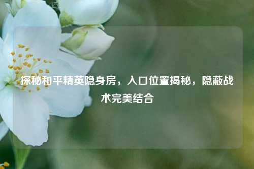 探秘和平精英隐身房，入口位置揭秘，隐蔽战术完美结合