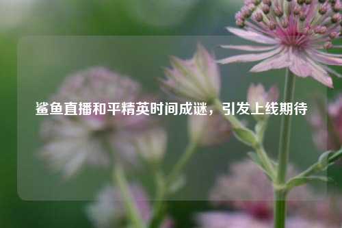 鲨鱼直播和平精英时间成谜，引发上线期待