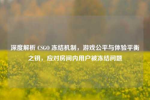 深度解析 CSGO 冻结机制,游戏公平与体验平衡之钥,应对房间内用户被冻结问题