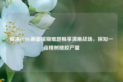 解决PUBG画面模糊难题畅享清晰战场，探知一亩桃树桃胶产量