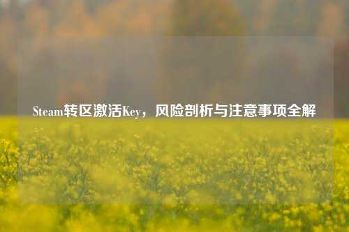 Steam转区激活Key,风险剖析与注意事项全解