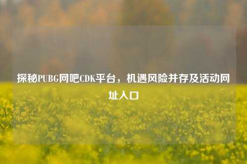 探秘PUBG网吧CDK平台，机遇风险并存及活动网址入口