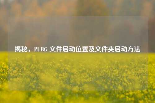 揭秘,PUBG 文件启动位置及文件夹启动方法