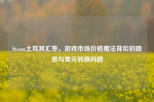 Steam土耳其汇率,游戏市场价格魔法背后的隐患与美元转换问题