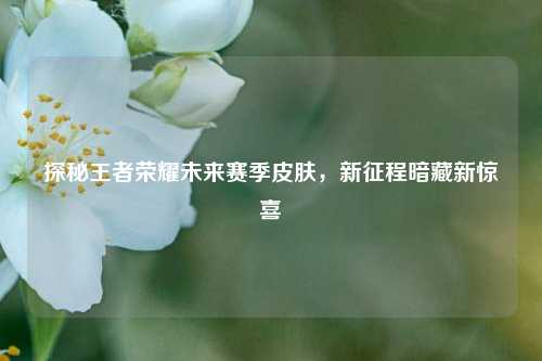探秘王者荣耀未来赛季皮肤,新征程暗藏新惊喜