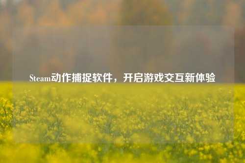 Steam动作捕捉软件,开启游戏交互新体验