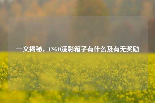一文揭秘，CSGO凌彩箱子有什么及有无奖励