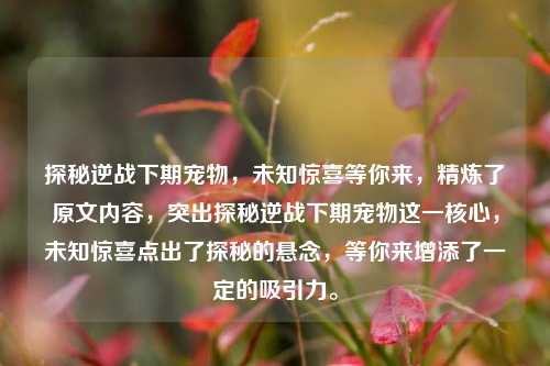 探秘逆战下期宠物，未知惊喜等你来，精炼了原文内容，突出探秘逆战下期宠物这一核心，未知惊喜点出了探秘的悬念，等你来增添了一定的吸引力。