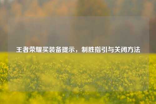 王者荣耀买装备提示，制胜指引与关闭方法