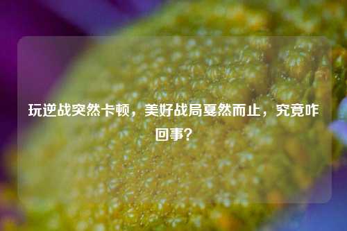 玩逆战突然卡顿，美好战局戛然而止，究竟咋回事？