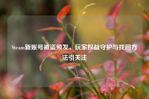 Steam新账号被盗频发，玩家权益守护与找回方法引关注