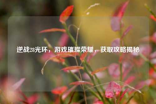 逆战28光环，游戏璀璨荣耀，获取攻略揭秘