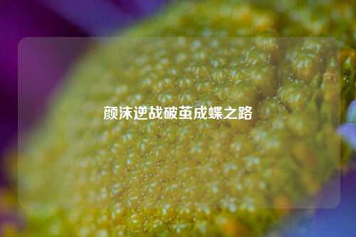 颜沫逆战破茧成蝶之路