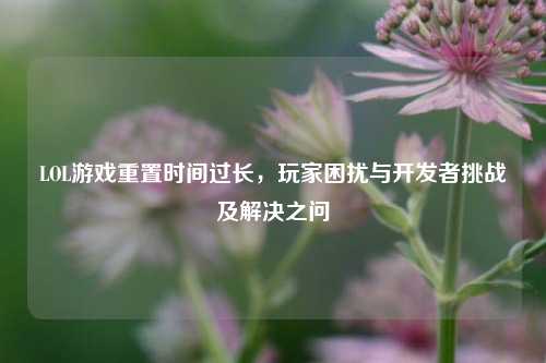 LOL游戏重置时间过长，玩家困扰与开发者挑战及解决之问