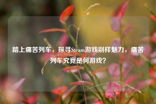 踏上痛苦列车，探寻Steam游戏别样魅力，痛苦列车究竟是何游戏？