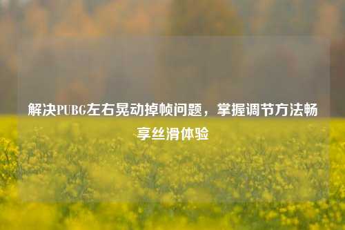 解决PUBG左右晃动掉帧问题，掌握调节方法畅享丝滑体验