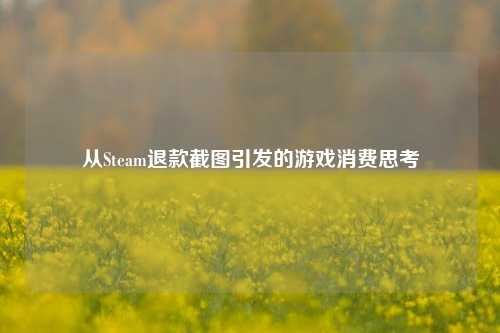 从Steam退款截图引发的游戏消费思考