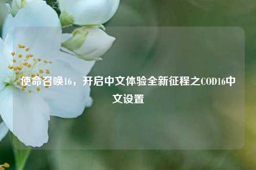 使命召唤16，开启中文体验全新征程之COD16中文设置