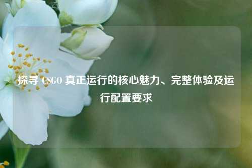 探寻 CSGO 真正运行的核心魅力、完整体验及运行配置要求